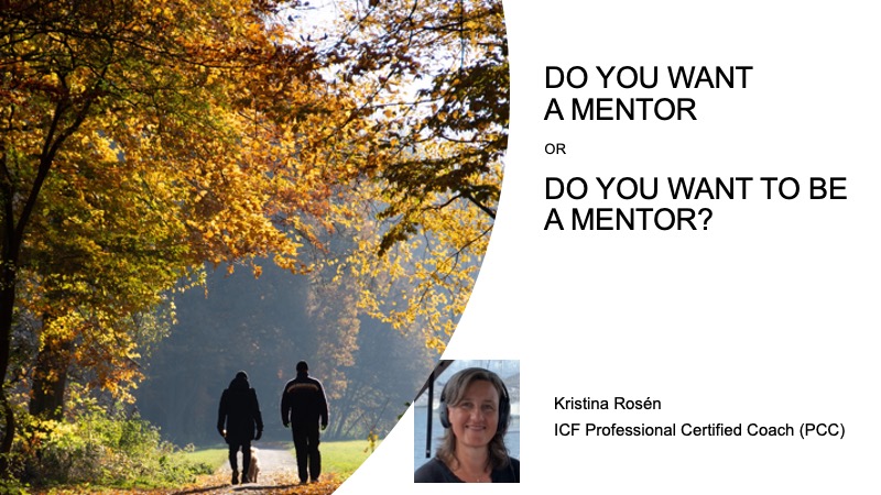 PMI Video startbild PP